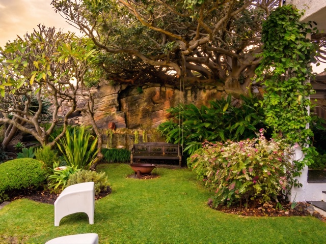 A sheltered Lüdi Gardens courtyard with a fig tree over a sandstone wall, bench swing and fire bowl on a clipped lawn