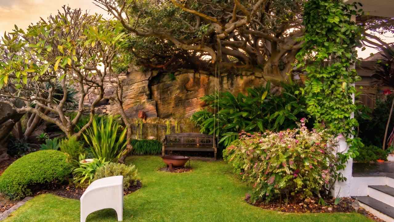 A sheltered Lüdi Gardens courtyard with a fig tree over a sandstone wall, bench swing and fire bowl on a clipped lawn