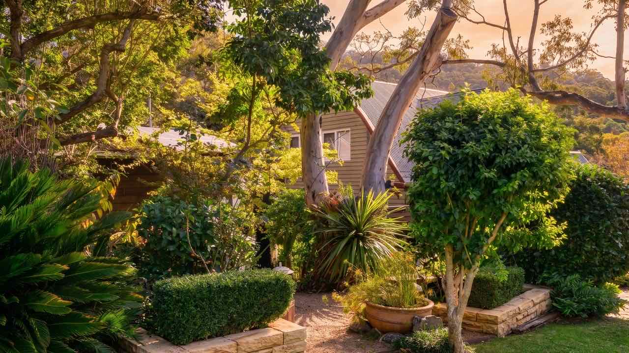 A native garden installed by Lüdi Gardens in Wollongong, set against the Illawarra escarpment.