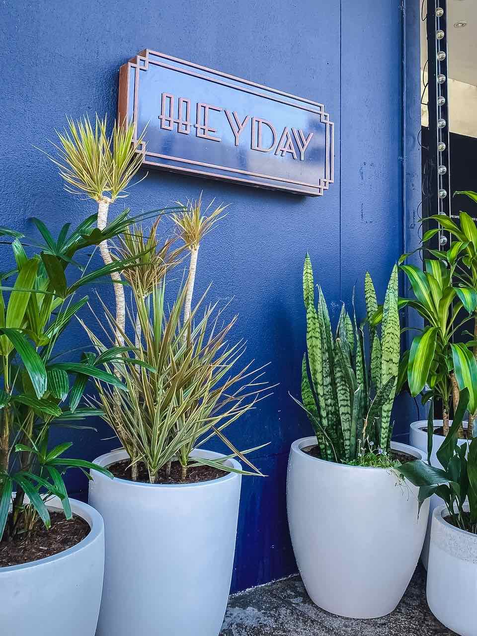 Potted dracaenas, snake plants and palms in white pots against a deep blue shopfront wall