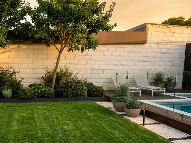 Steel-edged lawn and layered planting against a white stone wall, with potted succulents, a timber pool deck, glass fencing and sun loungers